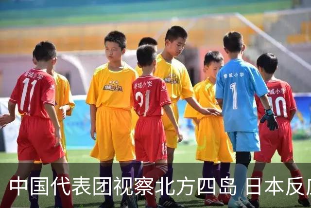 中国代表团视察北方四岛 日本反应尴尬无力