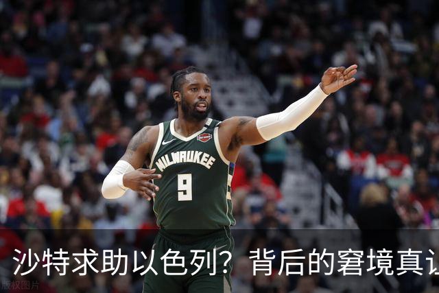 沙特求助以色列？背后的窘境真让人咋舌！